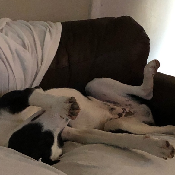 We Finally Did It! - Picture 8 of 8